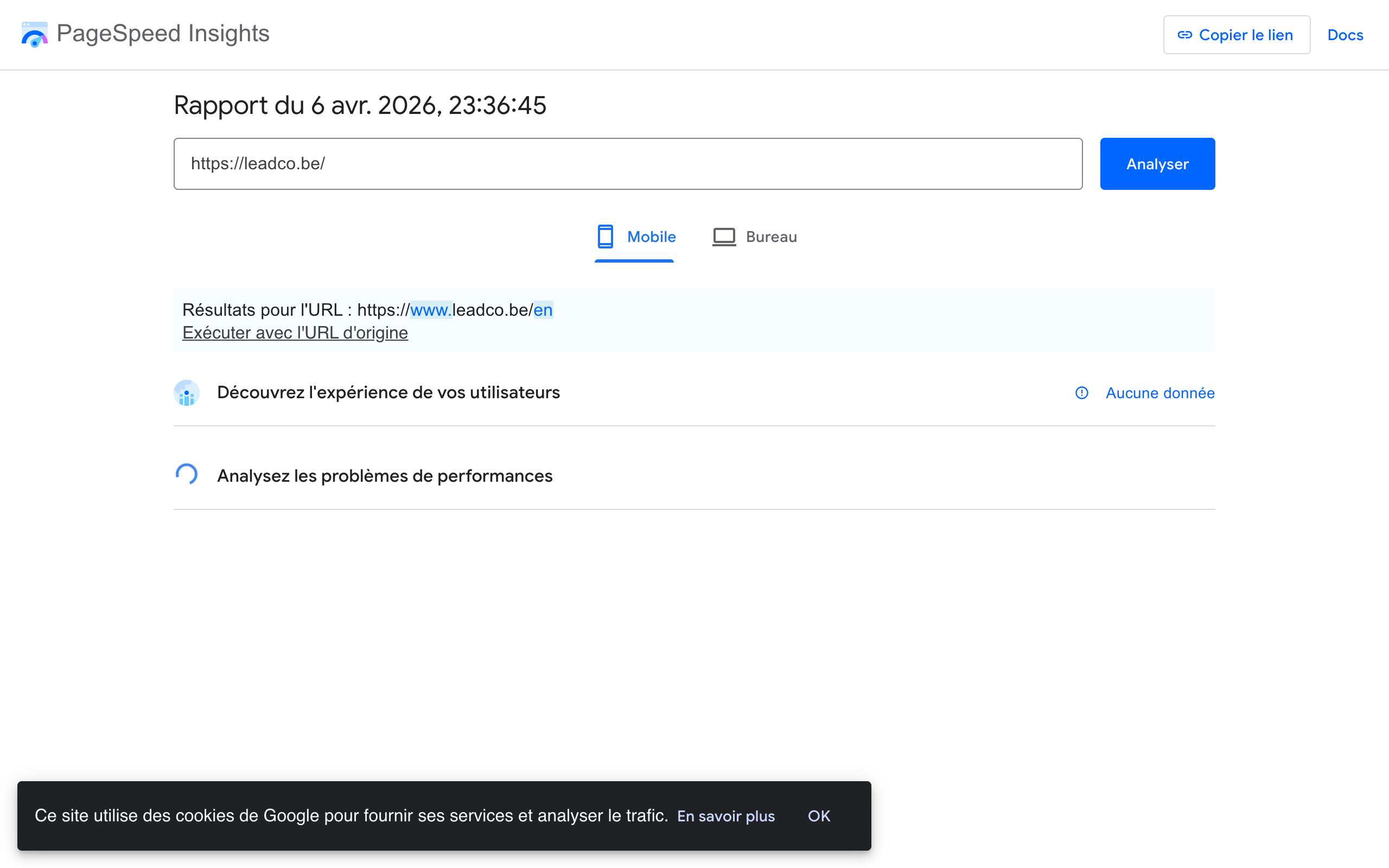 PageSpeed Insights results showing performance score